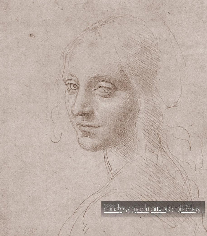 Tête de jeune fille, Léonard de Vinci