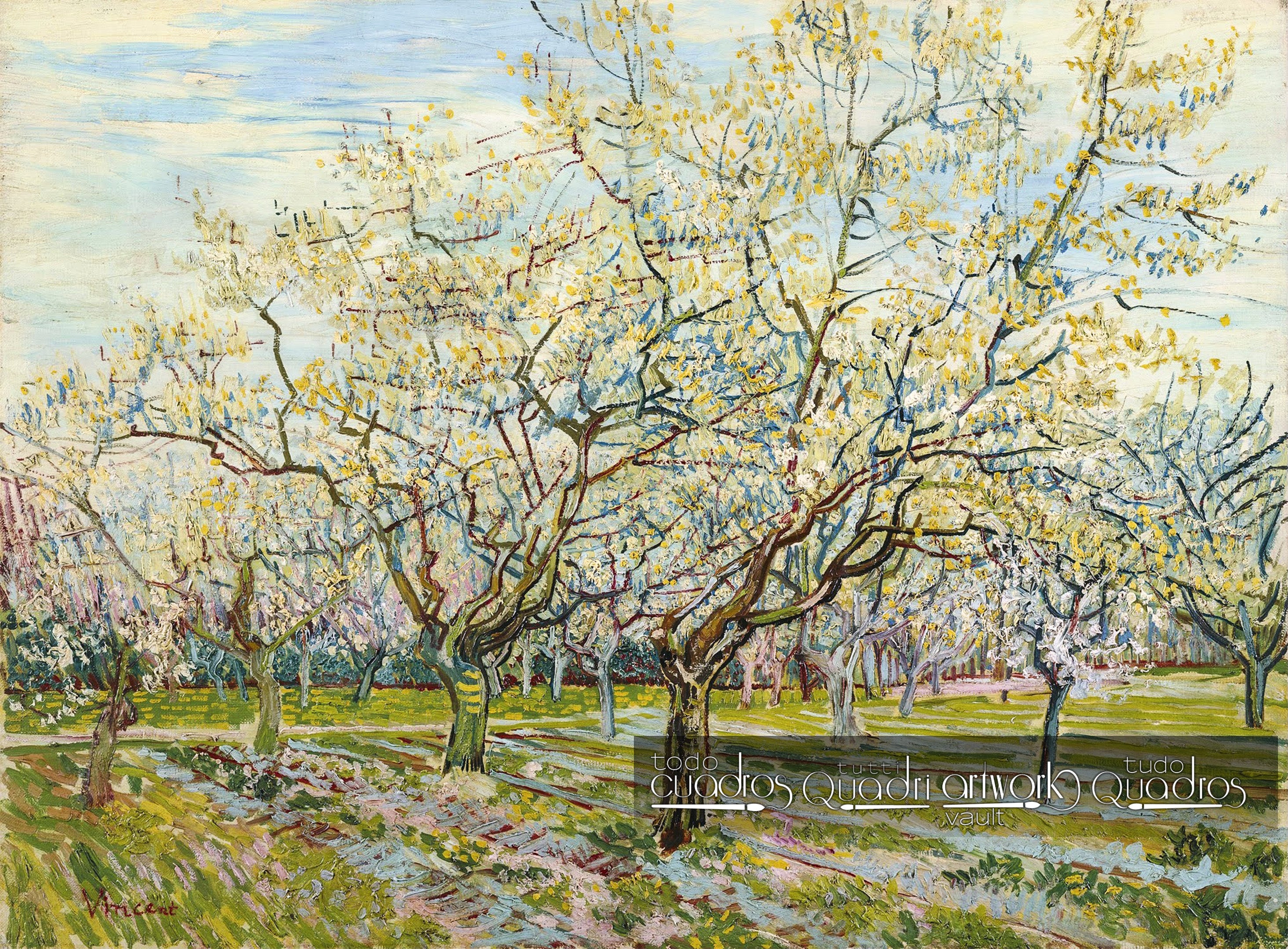 Le Verger blanc, Van Gogh