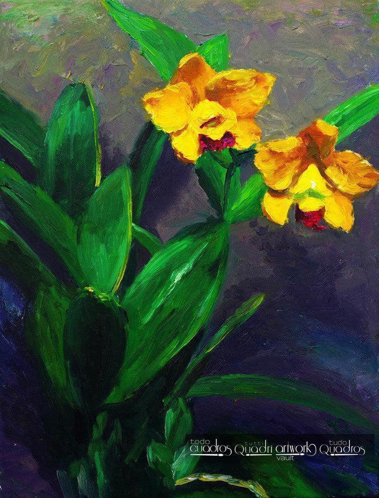 Boutons d’or, Huile Florale