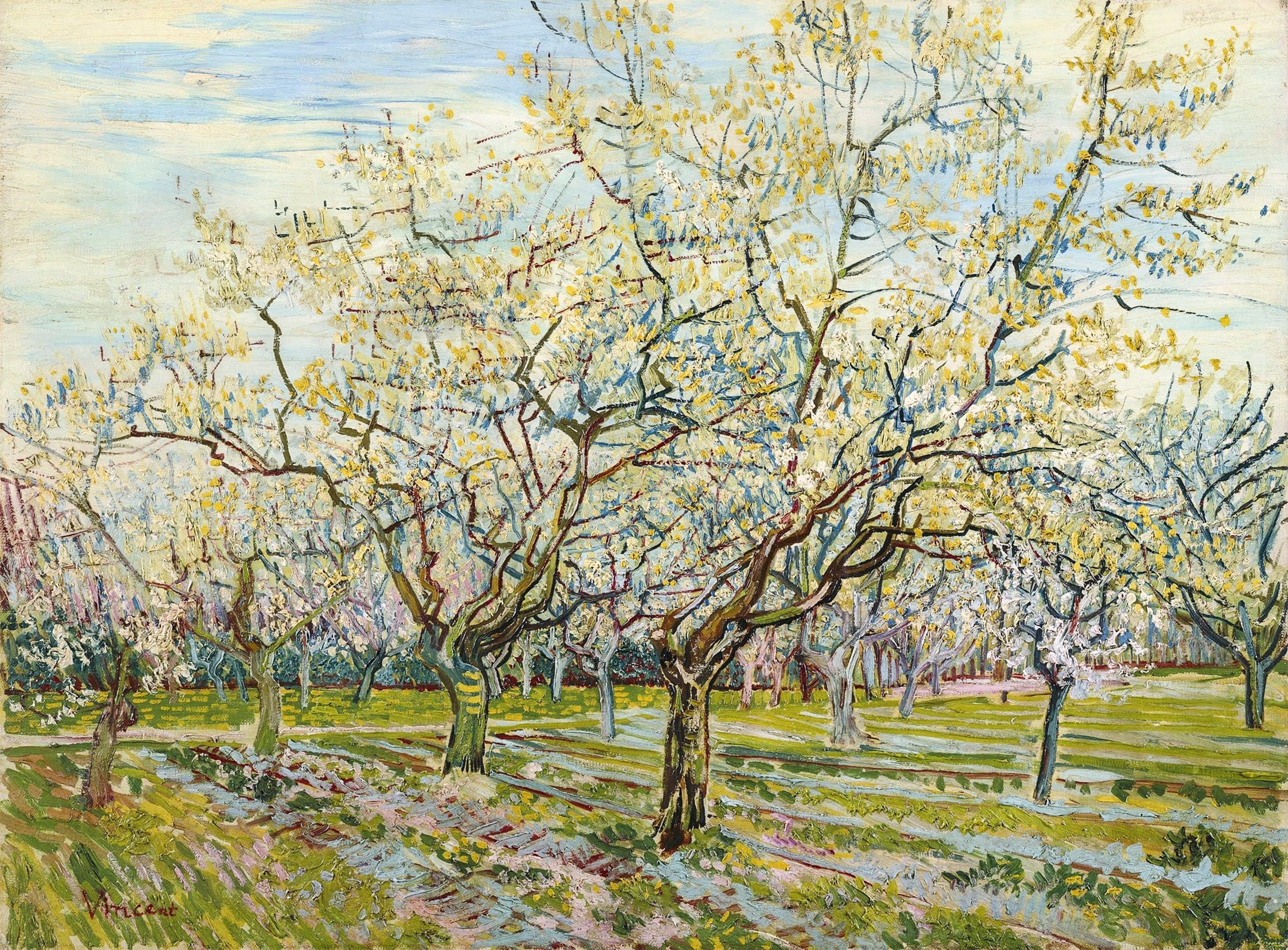 Le Verger blanc, Van Gogh