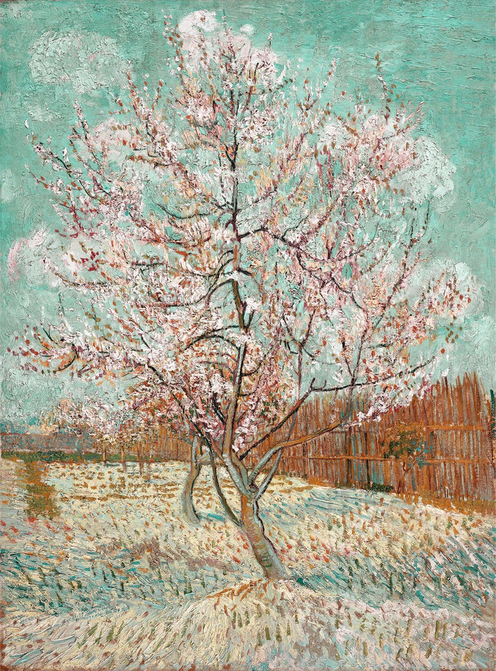 Pêcher en fleurs, Van Gogh