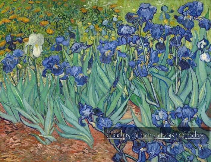 Iris, Van Gogh